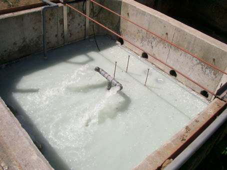 酪農パーラー排水の処理装置及び浄化方法