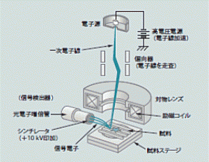 図１：走査電子顕微鏡の構成の概略