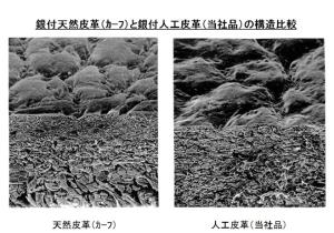 銀付天皮革(カーフ)銀付人工皮革(当社品)の構造比較