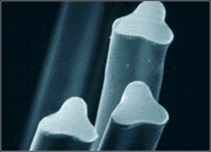 シルックの断面