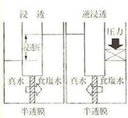 図5 逆浸透の原理