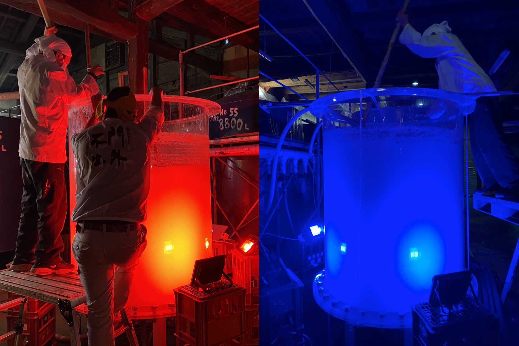 赤色&青色LED光照射による醸造風景