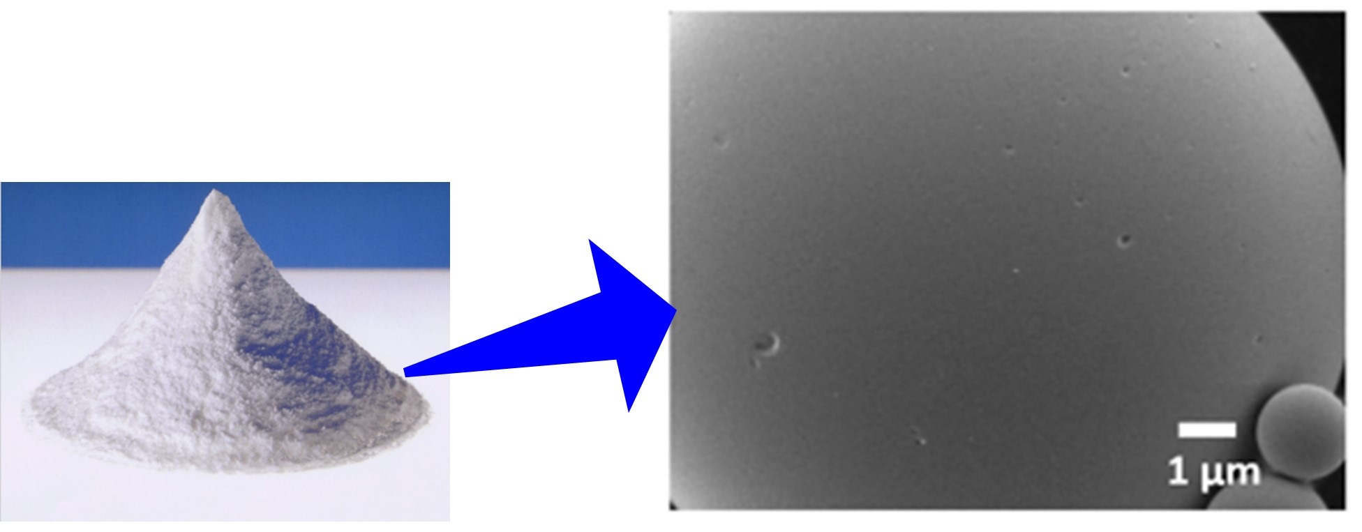 本発明事例の人工種苗ブリの成長と他社種苗事例