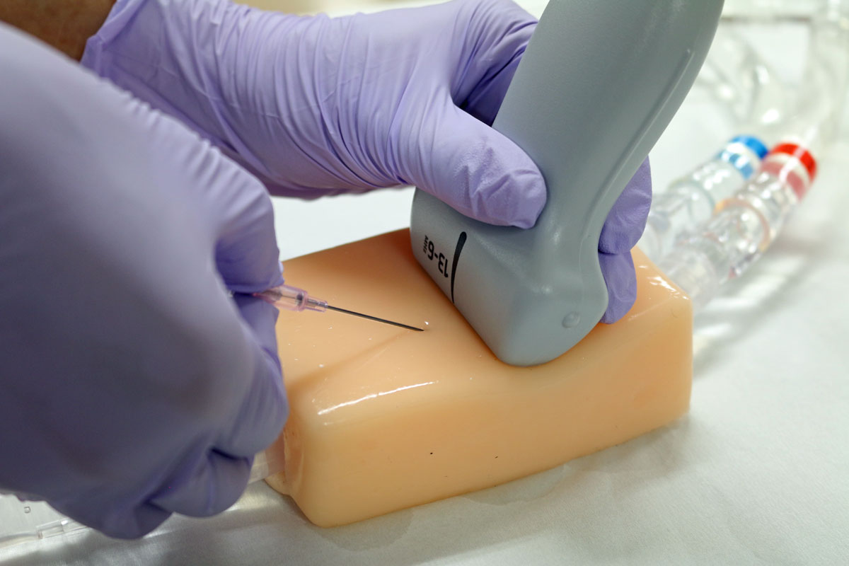 皮膚モデルを訓練に使用している様子