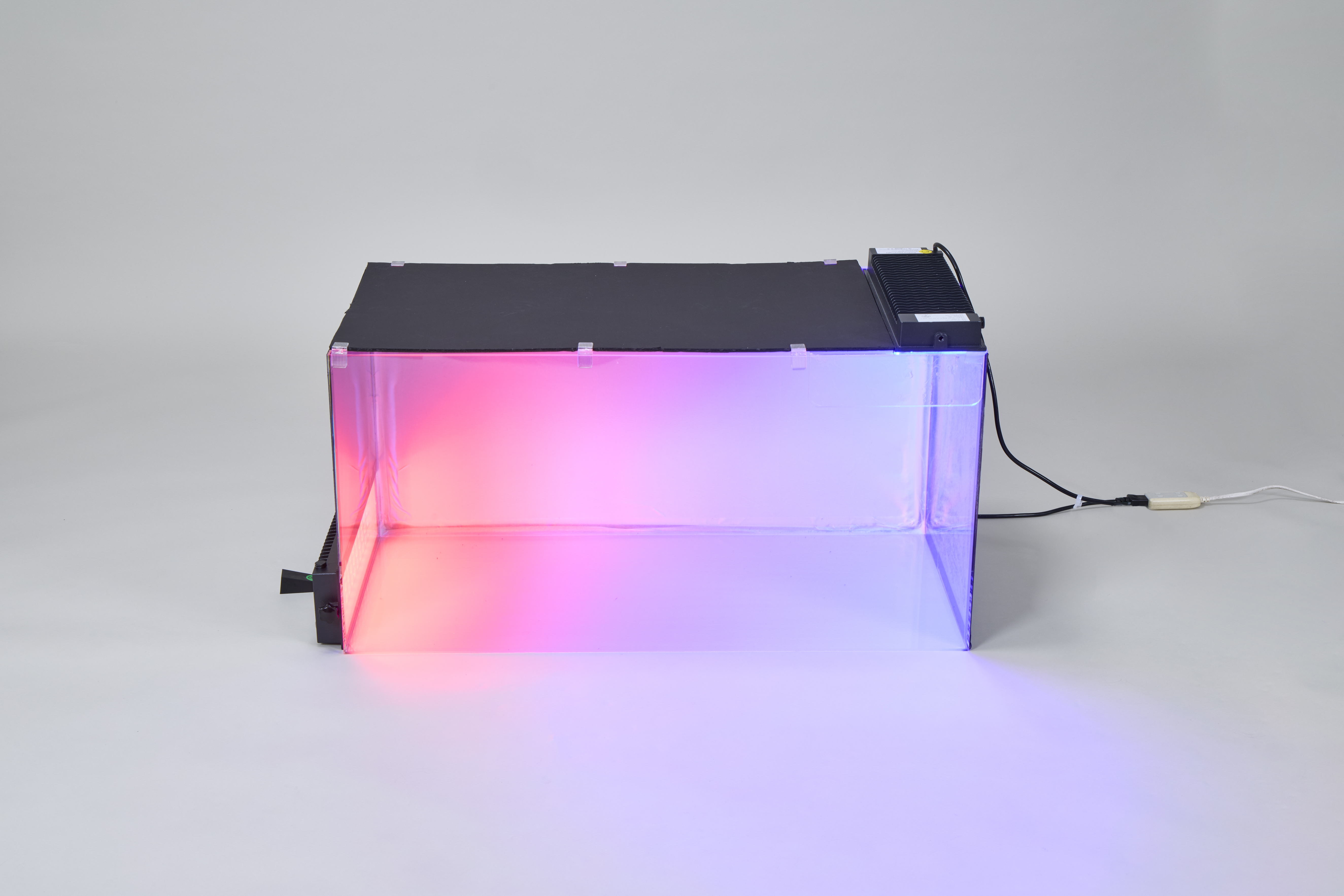 ニホンウナギの光による誘導システム