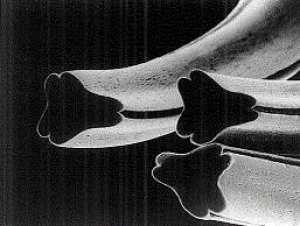 シルックロイヤルの断面